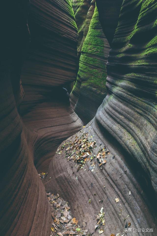 厉害了！甘泉大峡谷二次斩获《中国国家地理》青睐，峡谷与星空的组合绝了！