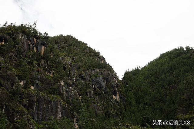 西藏林芝卡定沟美景