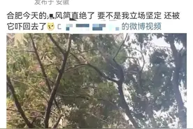 合肥人：这天气是懂"刺激"的图片