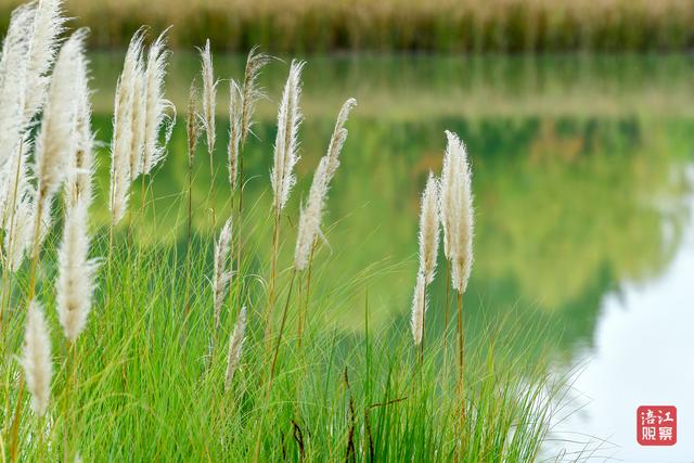 初冬时节，层林尽染，心随景动