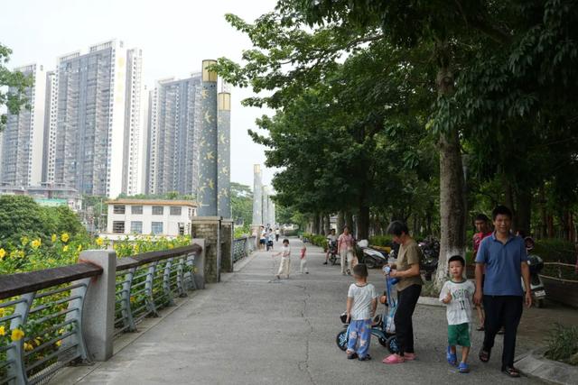 怀集这座公园,承包了群众的日常欢喜!