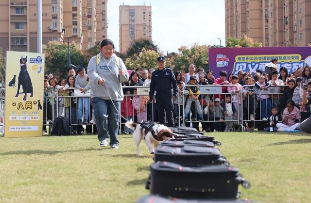 警营开放预约通道再次开启，快拼手速！！！