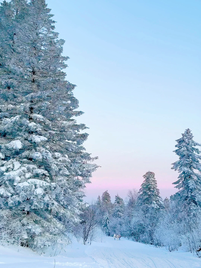 为了拿下万亿元冰雪季旅游订单，南北地区都抢疯了！