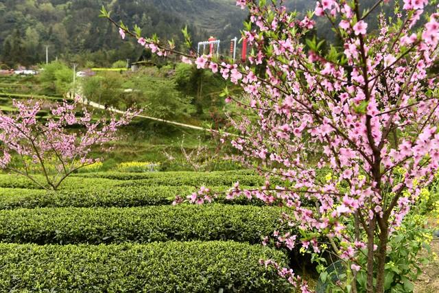 两性关系：60多岁的阿姨们坦言，女人找老伴，最大的需求是这一点