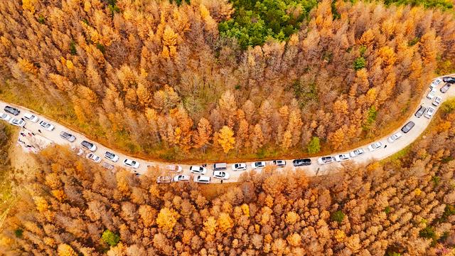 秦州区齐寿山：绚烂风光绘就生态与文化和美共生瑰丽画卷