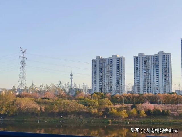 不用去南京，长沙也藏着 “梧桐秘境”！遛娃拍照美到窒息！