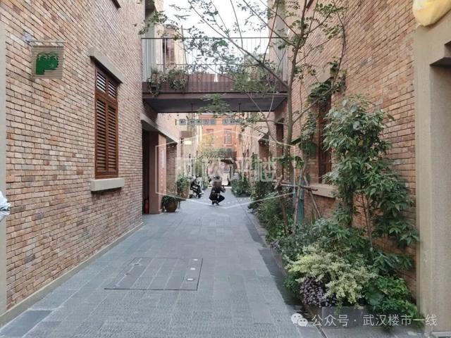 彻底出圈！武汉新增一个免费网红打卡地！