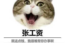 打工牛马专属的头像，换上领导第二天就让你回家图片