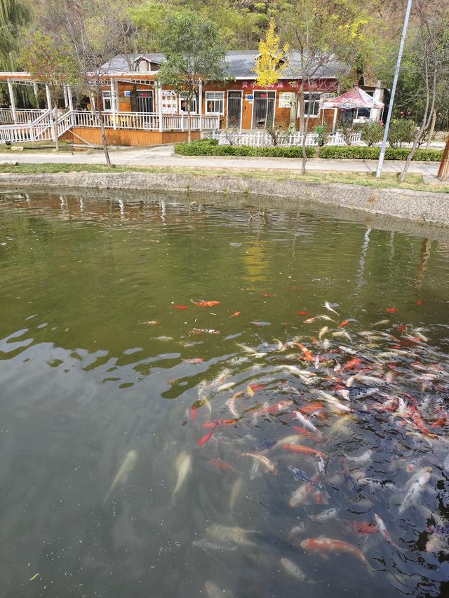 南行漫记，从郑州到卢氏323公里的行走