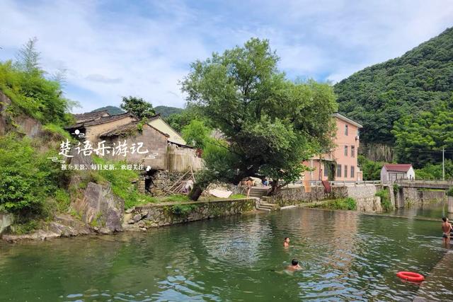 浙江宁波的山谷粉黛花海背山面溪，幽静而浪漫，周边景色更加迷人