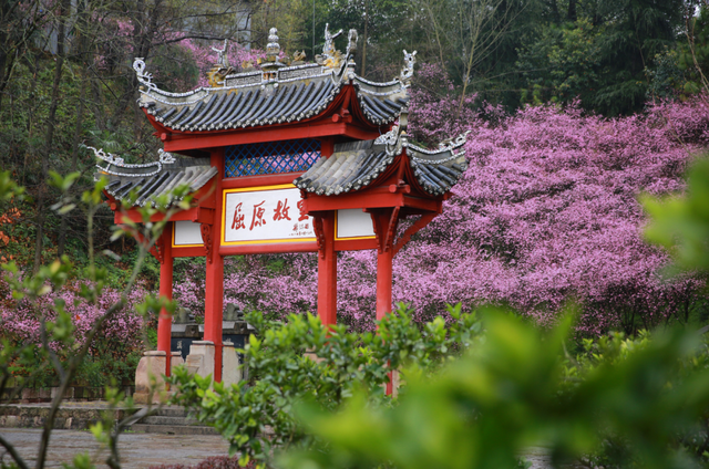 免票！半价！凭电影频道M榜门票，解锁宜昌景区优惠！