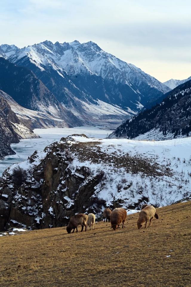 如要选一个冬季最佳拍雪景的地方，首选一定是它