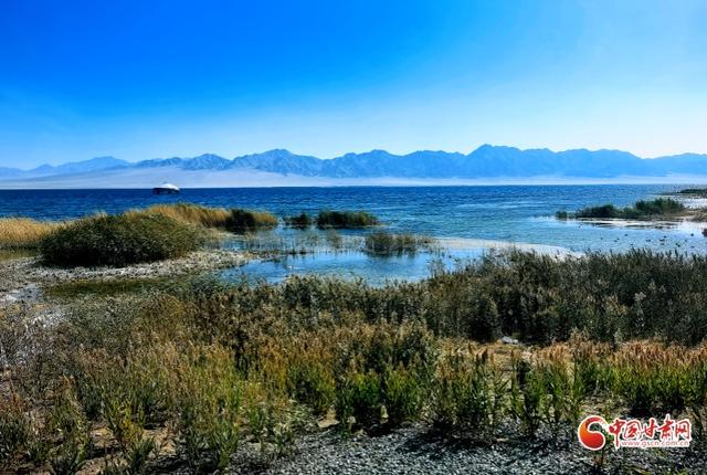 祁连山下是我家丨阿克塞：于苏干湖畔绘就生态和谐新画卷
