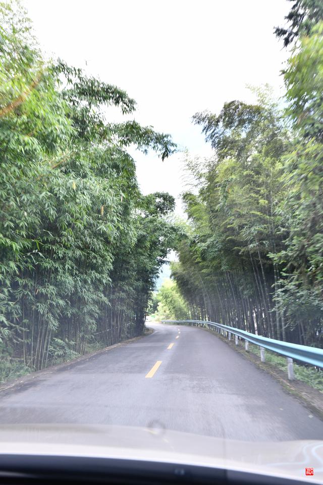 赤水四洞沟瀑布