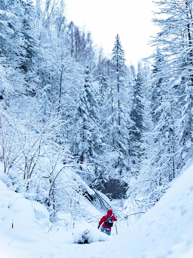 长白山天池关闭没关系，马上开启Plan B