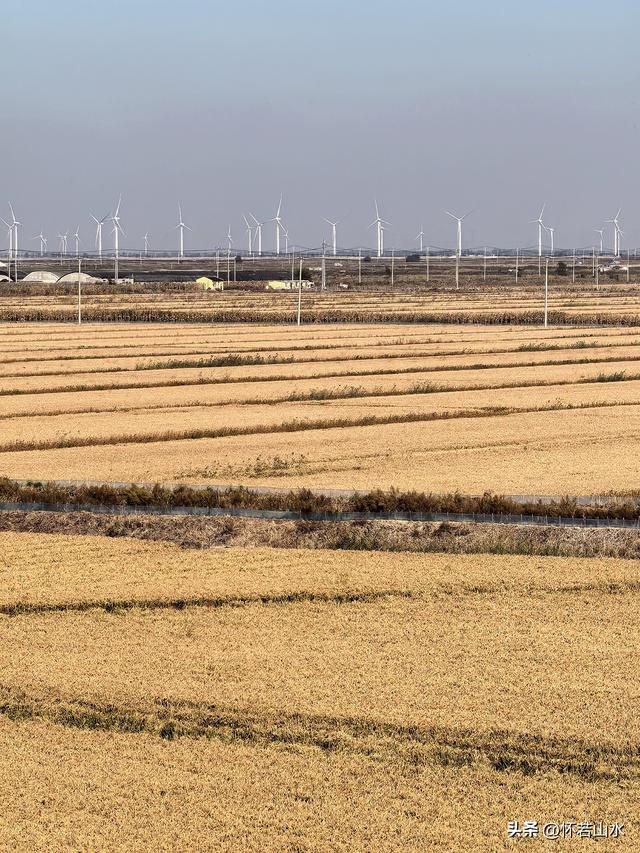 2025辽宁赏秋之旅日记(5)——从本溪前往盘锦 游览红海滩景观