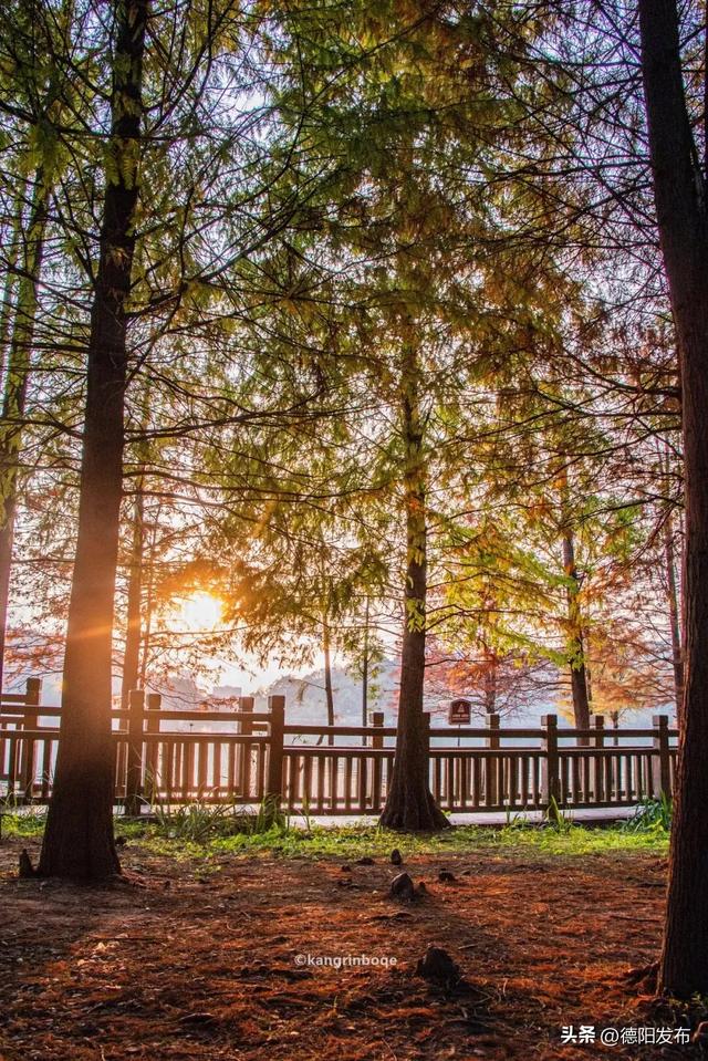 最新实拍！德阳东湖山都美成啥样了啊？太夸张了