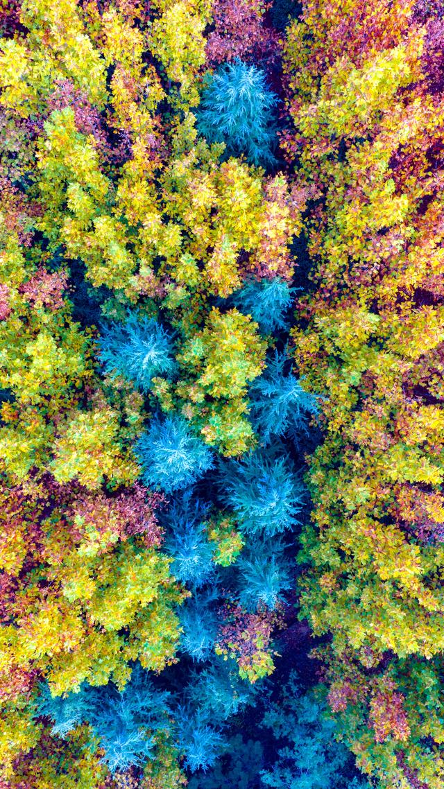 立冬悠游青岛西海岸新区灵山卫街道，乡野美得不像话，像画！