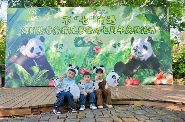 贡贡、舜舜登岛七周年，海南热带野生动植物园举办纪念活动