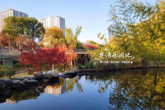 浙江宁波的绝美风景，犹如多彩的田园风情画，拍照与休闲都是一绝