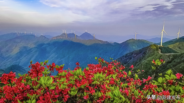 11月灵华限定！藏在深山里的“金色童话”