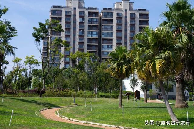 转角即公园，满城皆风景——晋宁“口袋公园”悄悄惊艳
