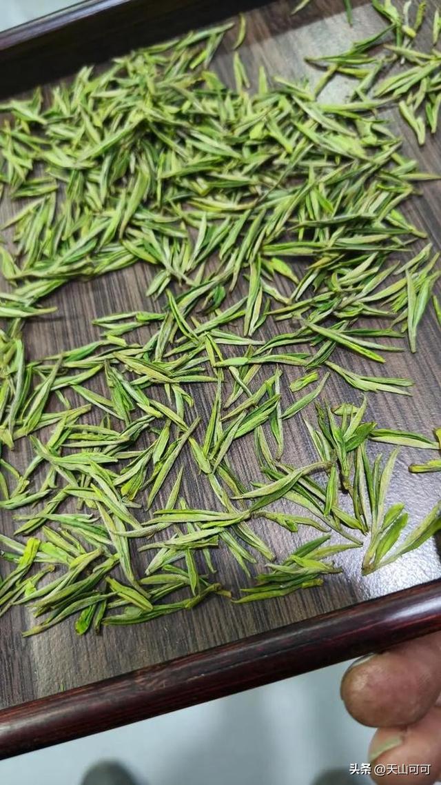 安吉白茶属于什么茶类，你喝过吗？