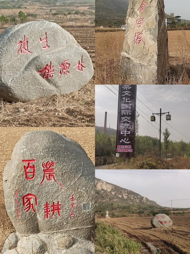 “舒平”携手“赵大姐”:为了那片深爱着的土地