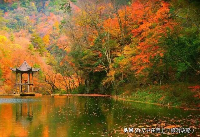 汉中这处红叶已进入最佳观赏期