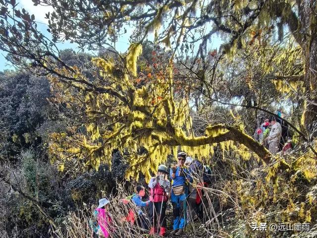 新年登高、祈愿美好，攀登富民金铜盆山，我们用徒步迎接2026