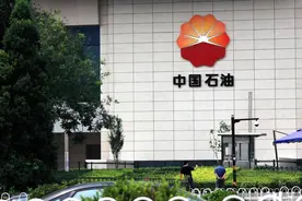 中石油40个大项目汇总图片