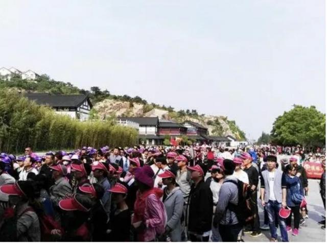 99元豪华游，被骗到内裤不剩