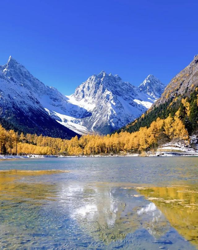 今年理县红叶开挂了！红得惊动天地，美到不可方物