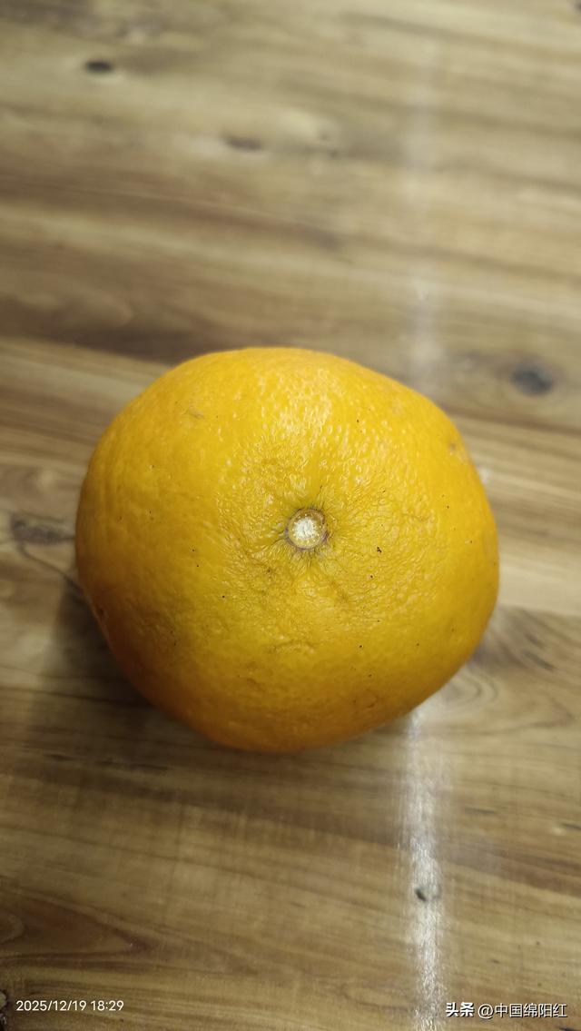 个人感觉从报国寺到金顶的全程徒步路线上的物价太贵了