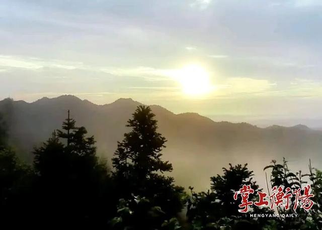 四明山：奇峰秘境随秋舞 古木珍禽映日明