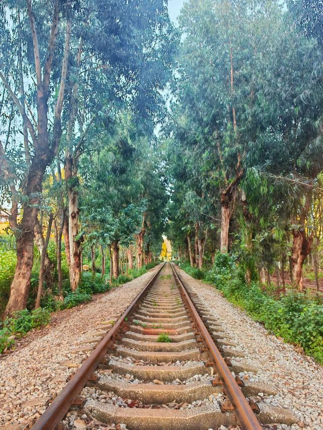 昆明市区惊现宫崎骏动漫稻田！铁路风景！人少景美速来～