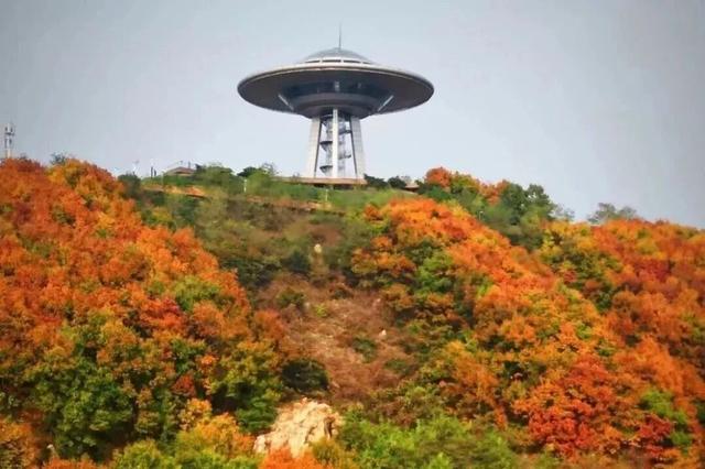 金普山色“杠杠好”，重阳攀登“步步高”