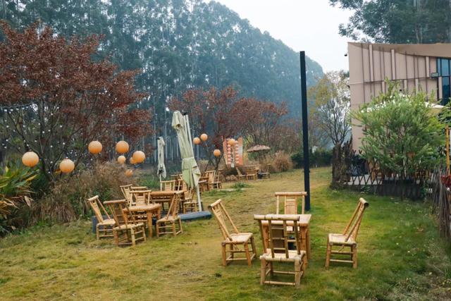 晒太阳~从从容容逛公园赏美景