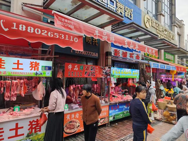 岭南日记（十三）