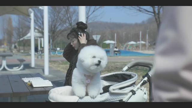 偷国人抄都抄不明白《十二使者》