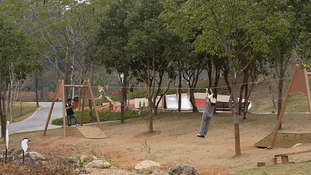 二刷、三刷……遛娃党解锁恩上湿地新玩法！