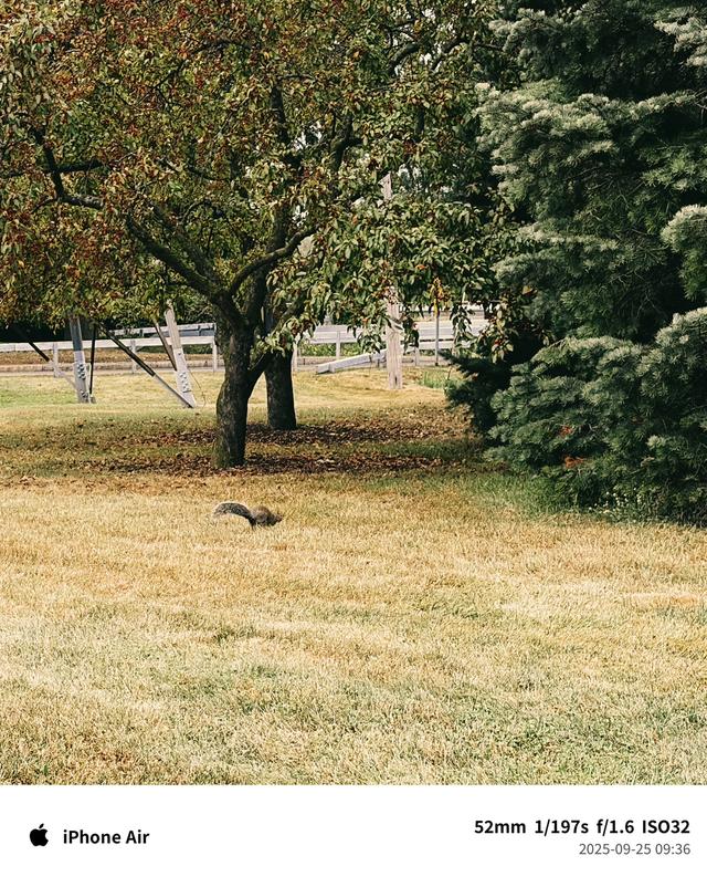 让手机回归「拿在手里」的价值,聊聊我的 iPhone Air 使用体验