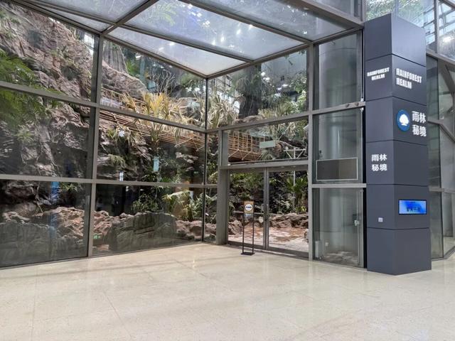 上海科技馆焕新升级，今天面向公众开启首场压力测试！小布带你探营→