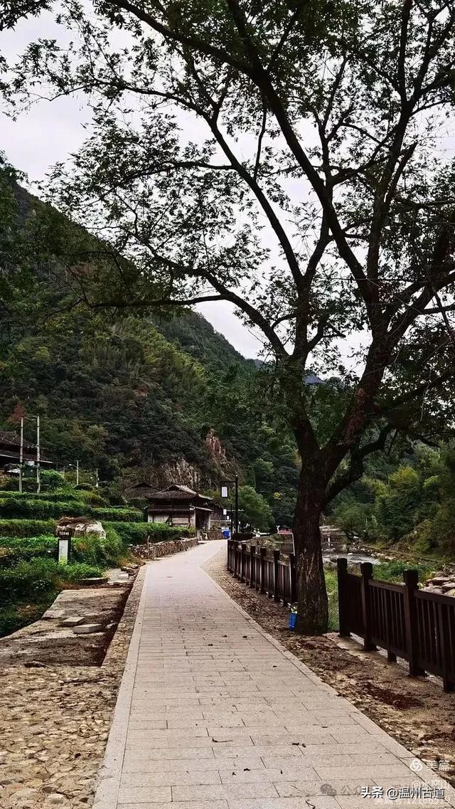 温州大山深处的这个千年遗世古村落你可去过?