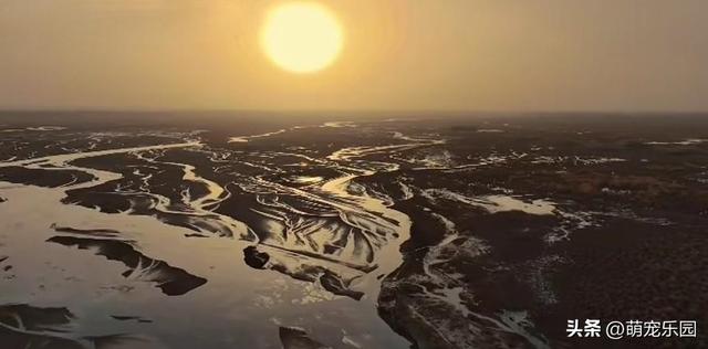 民丰县黄昏时分，尼雅河畔惊现灰鹤群，夕阳下美得让人窒息