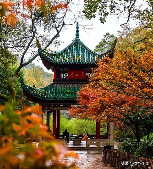 我们要改版了，你____