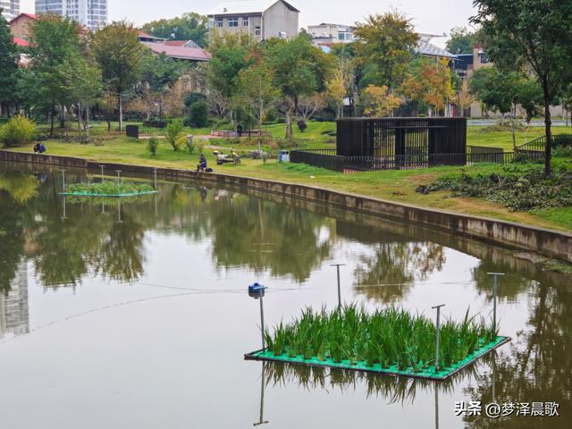 云梦生态浮岛的三重奏