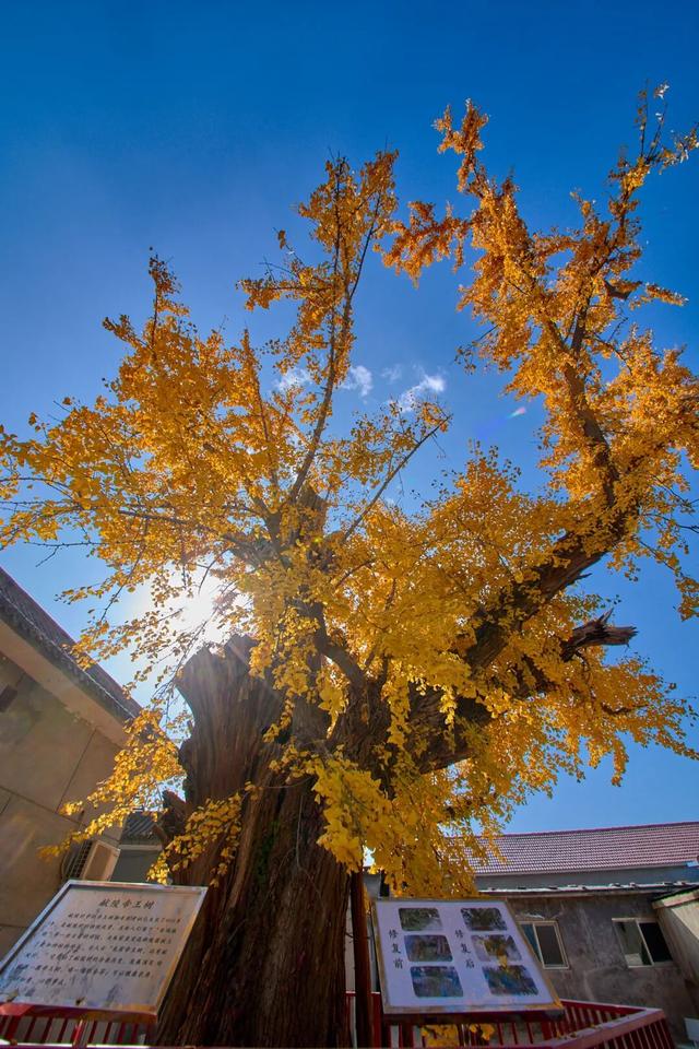 太全面了！8条游玩线路+京郊汤泉！带您玩转北京这里！（1）