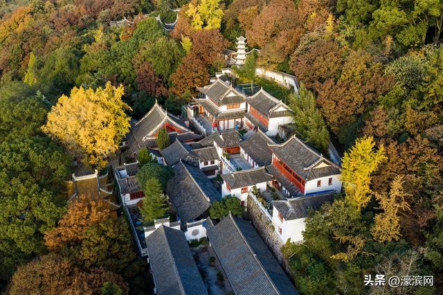 狼山景区赏秋正当时 金色银杏装点诗意山林