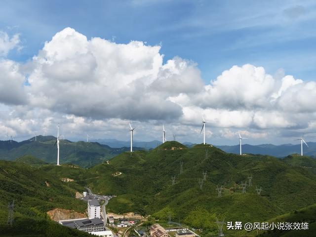 张效雄 万洋山：绿色神韵